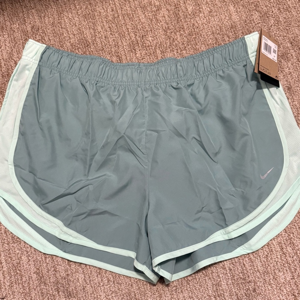 Nike Women's Light Green Athletic Shorts